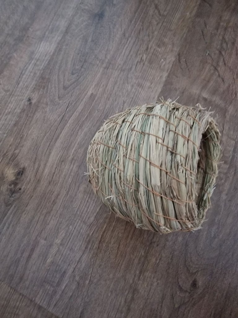 A young lutono cockateil couple. A big cage+£50