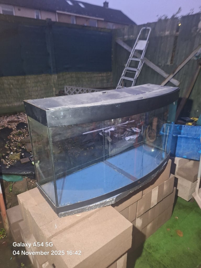 free  fish tank