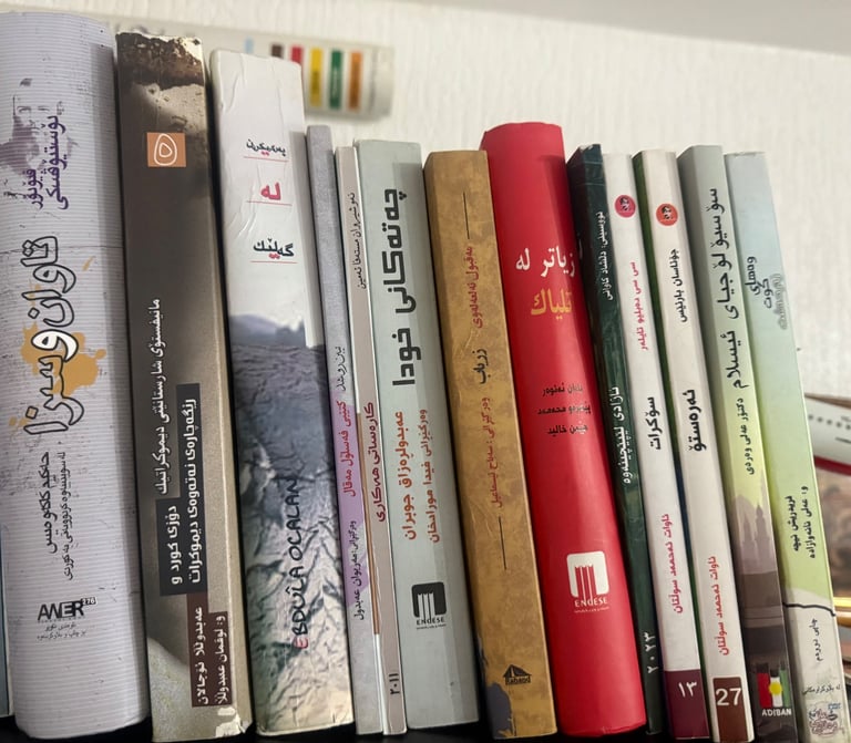 Kurdish books 📚