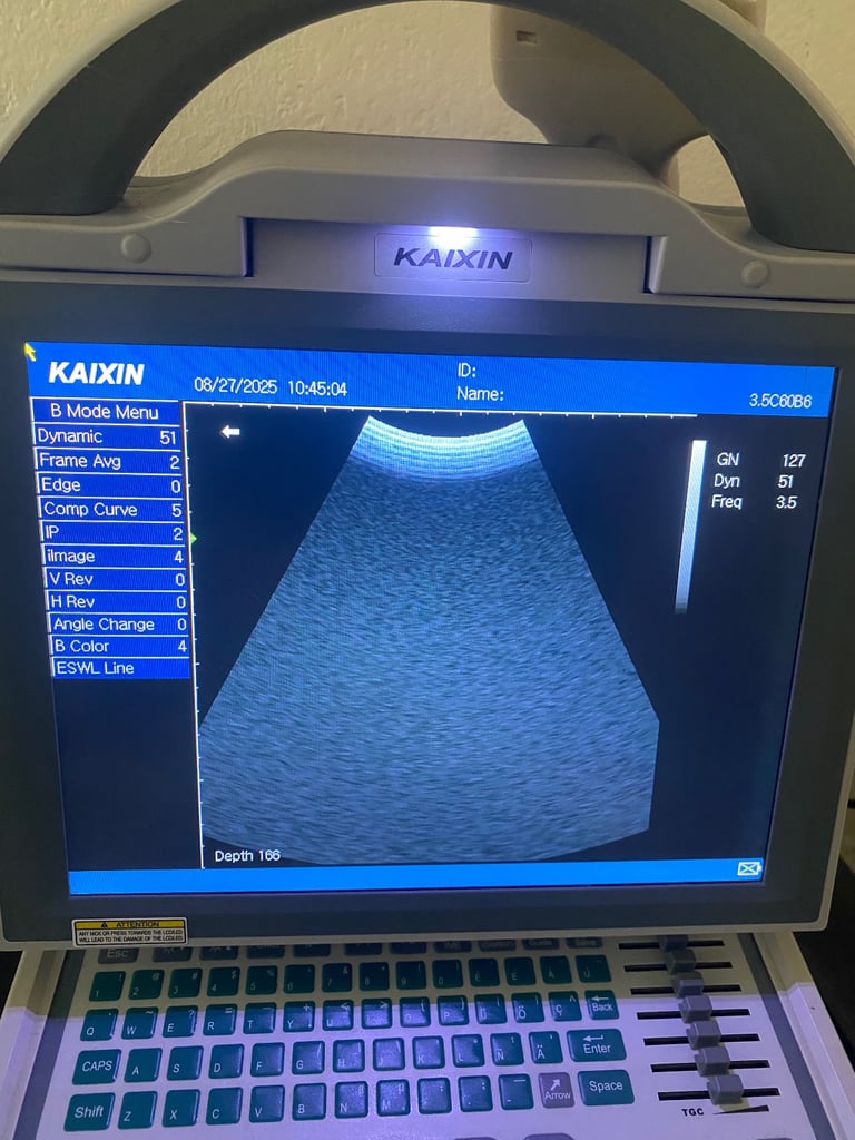 Dog and cat pregnancy scanner
