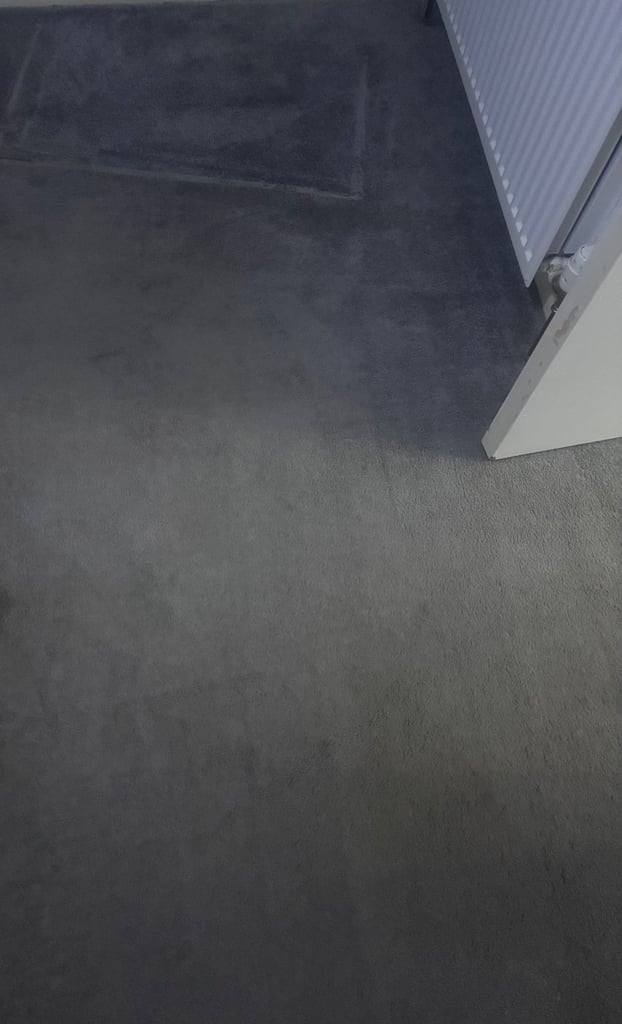 image for Grey carpet free