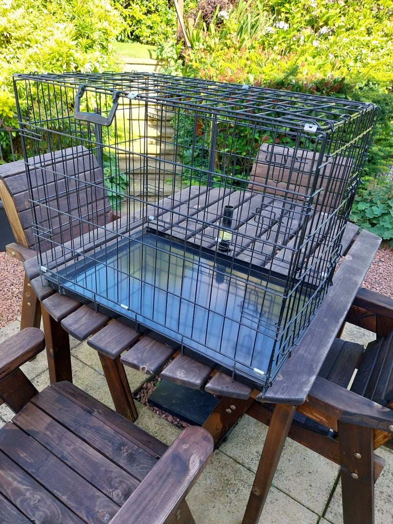 Folding travel crate for dog