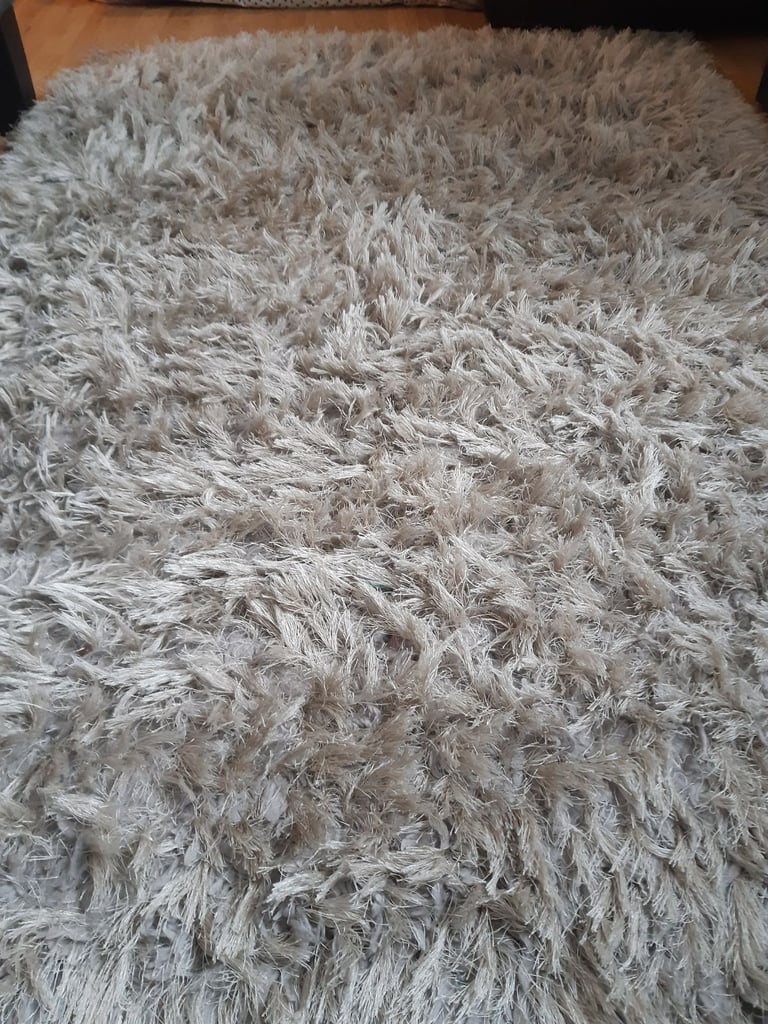image for Shaggy Silver Rug