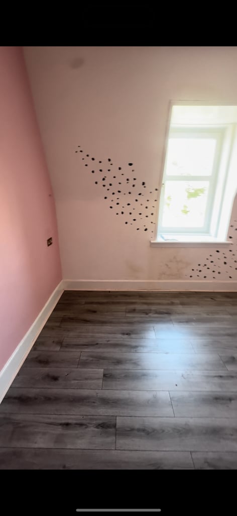 ROOM RENTAL OPPORTUNITIES AVAILABLE