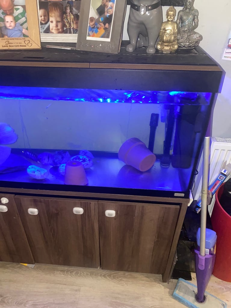 Fish Tank