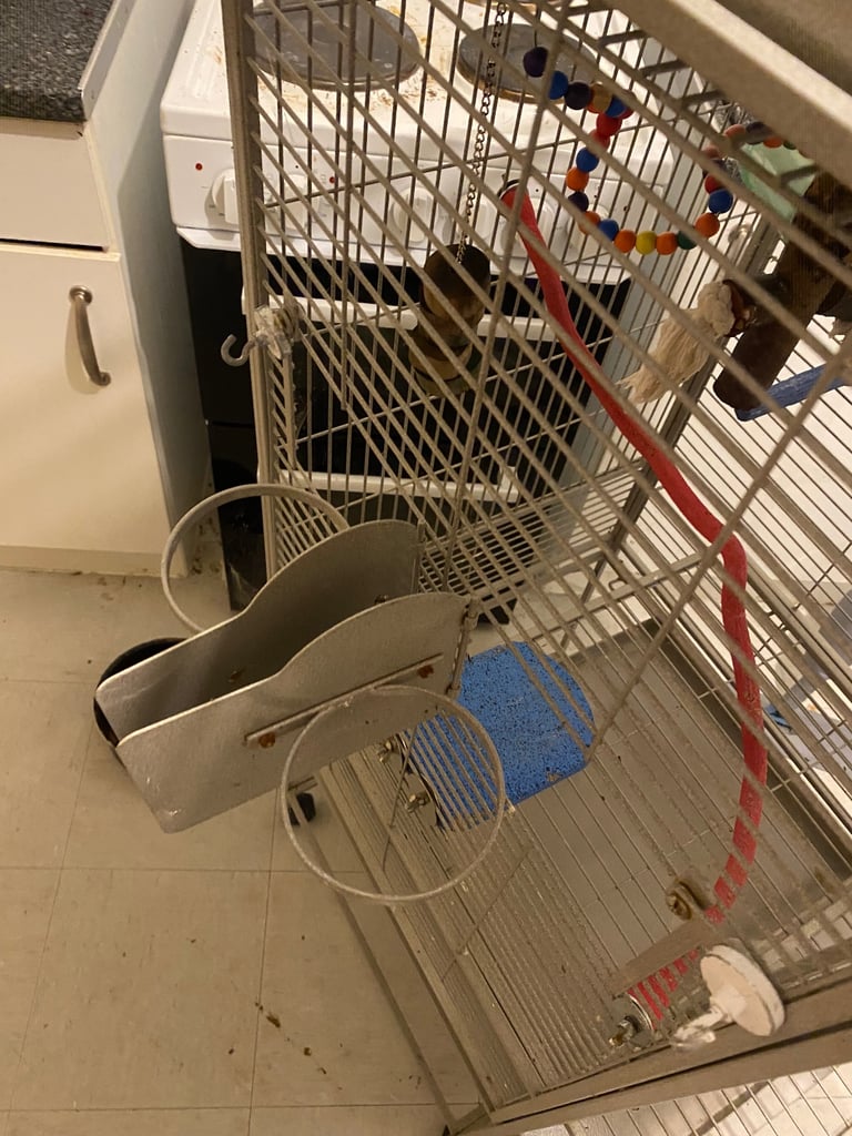  Bargain buy Ohio Play Top Parrot Cage