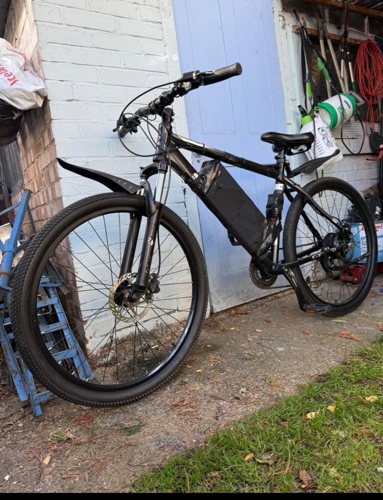 Electric Bike 250W