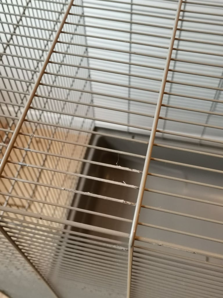 Large Rodent Cage