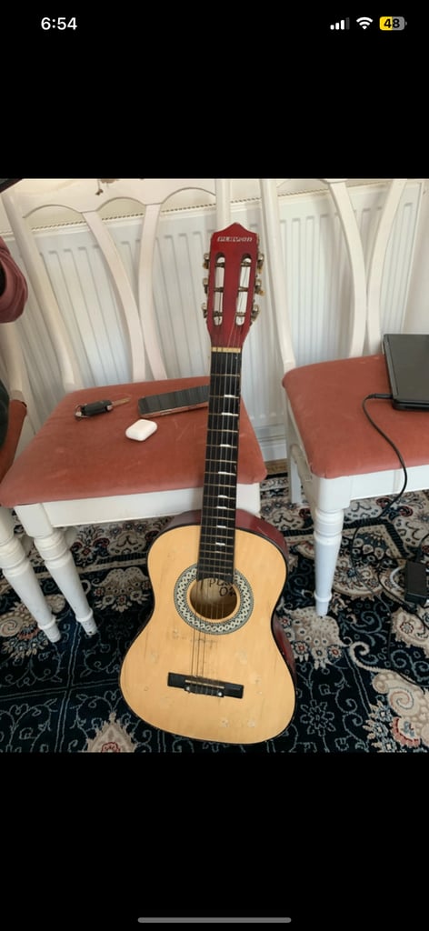 Guitar