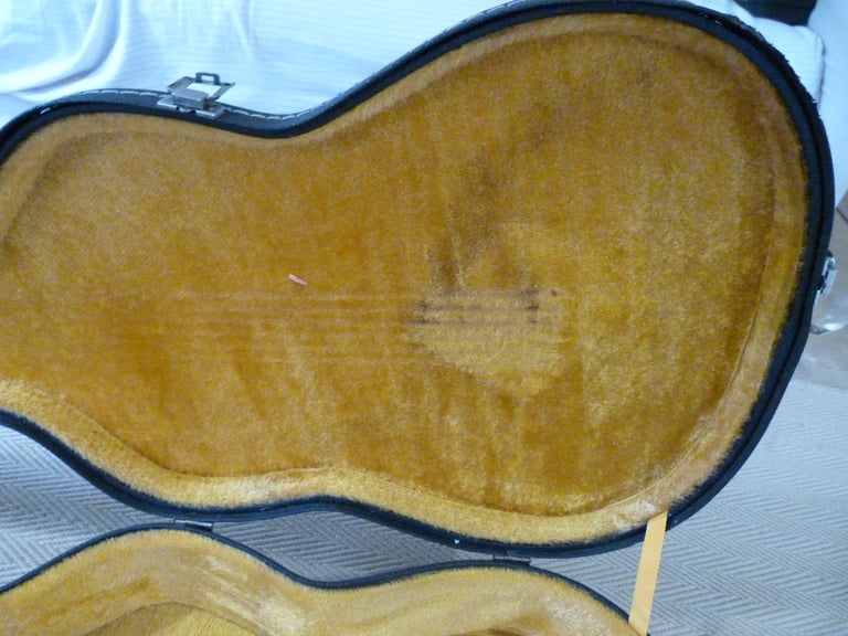 Lined Guitar hard case