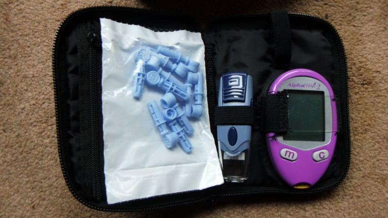 Cat/dog blood glucose monitor and cat syringes