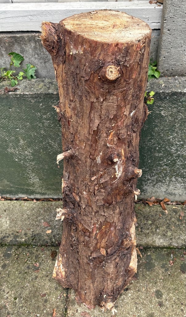 image for Fir tree logs - £1 per kilo