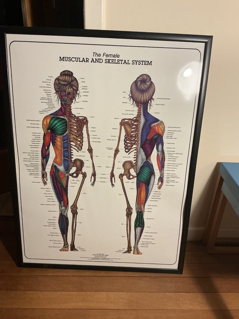 image for Medical poster as in the photo 