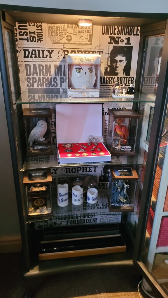 Custom made lockable Harry Potter cabinet 