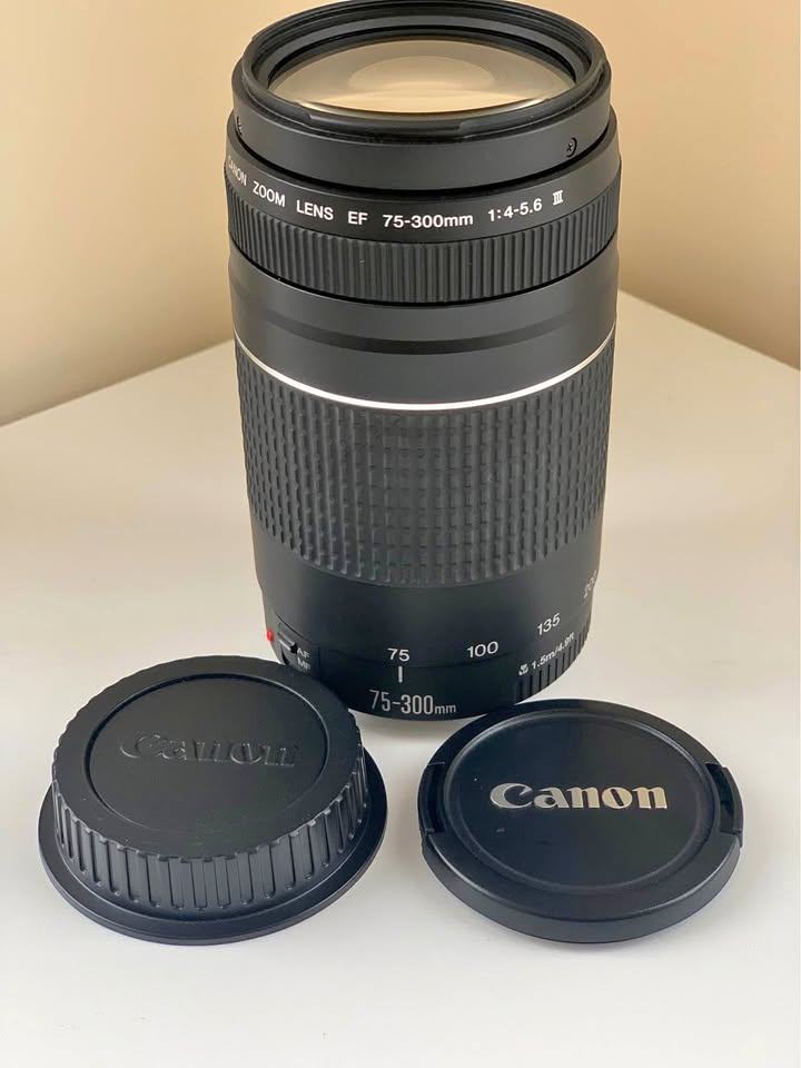 image for Canon EF 75-300mm f/4-5.6 III Telephoto Zoom Lens