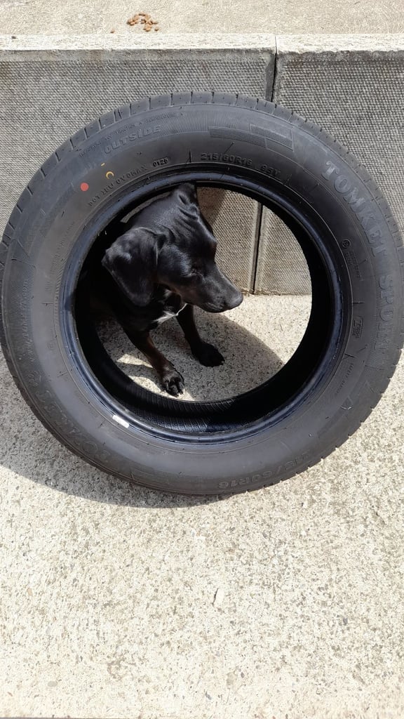 image for 2156016v tyre for sale, B rating for grip