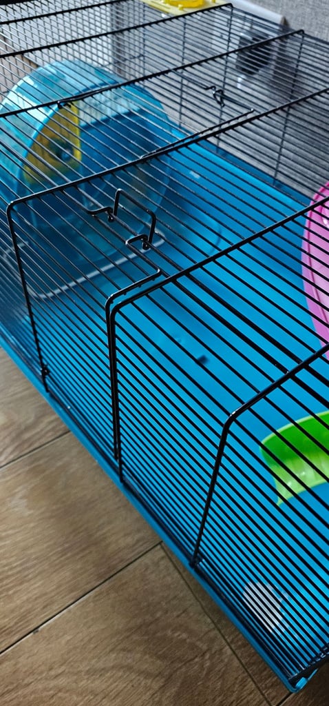 Hamster cage 