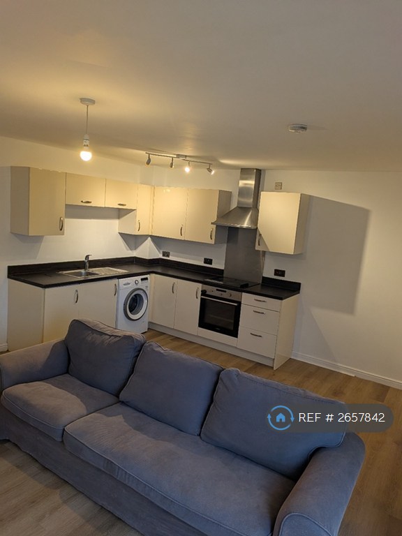1 bedroom flat in Riverside House, Sheffield, S2 (1 bed) (#2657842)