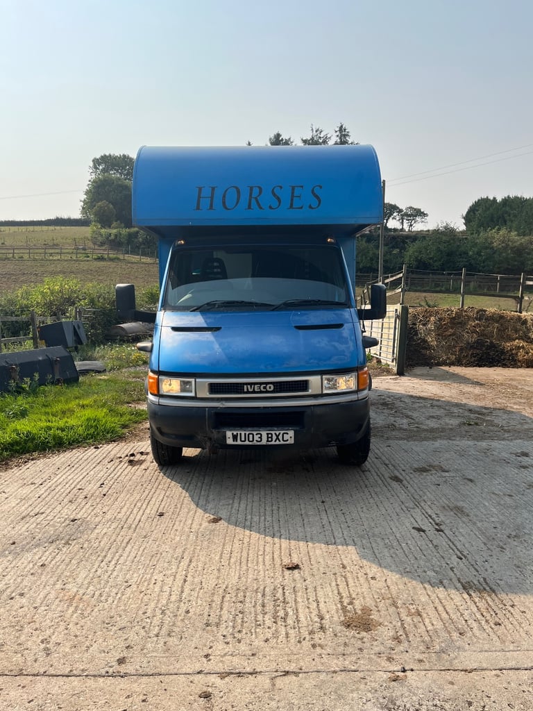 6.5t horsebox Iveco Daily 
