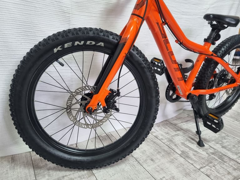 Scott Roxter bike 20"wheels