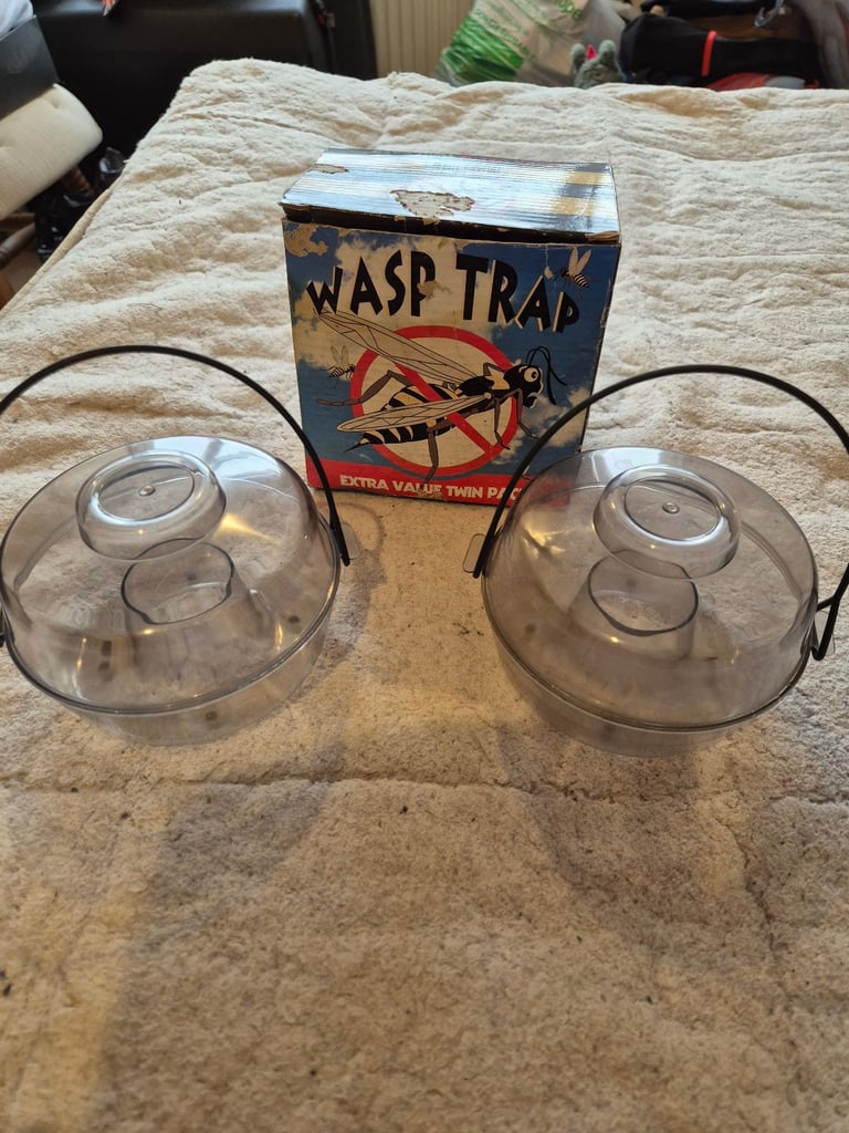 image for 2x wasp traps 