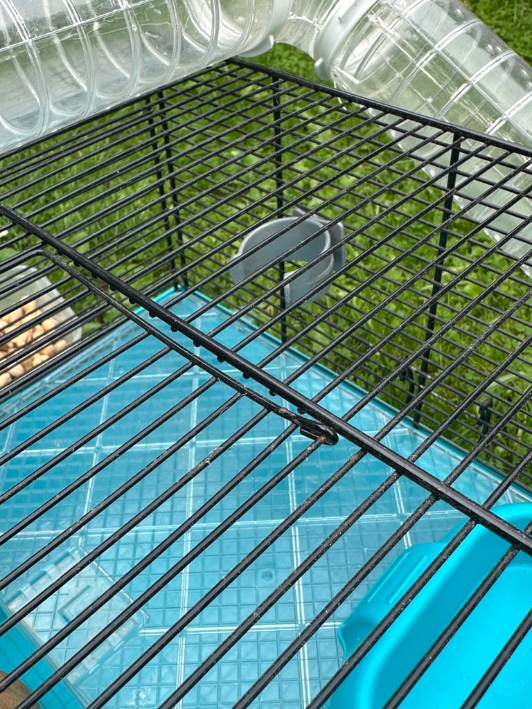 Hamster cage and accessories 
