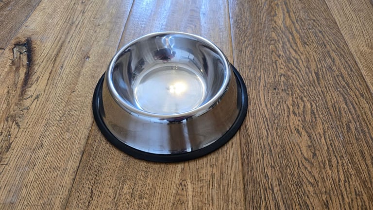 image for Miscellaneous Dog/Cat equipment-Prices vary.