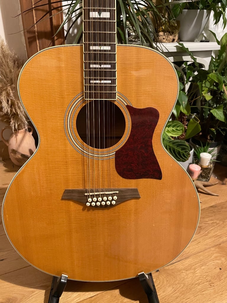 Vintage 12 string V1700-N12