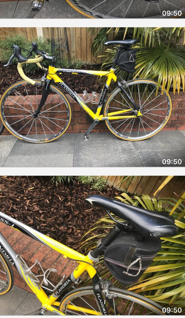 Flandria m2m bike