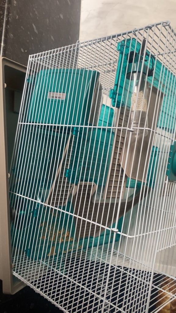 Hamster cage 