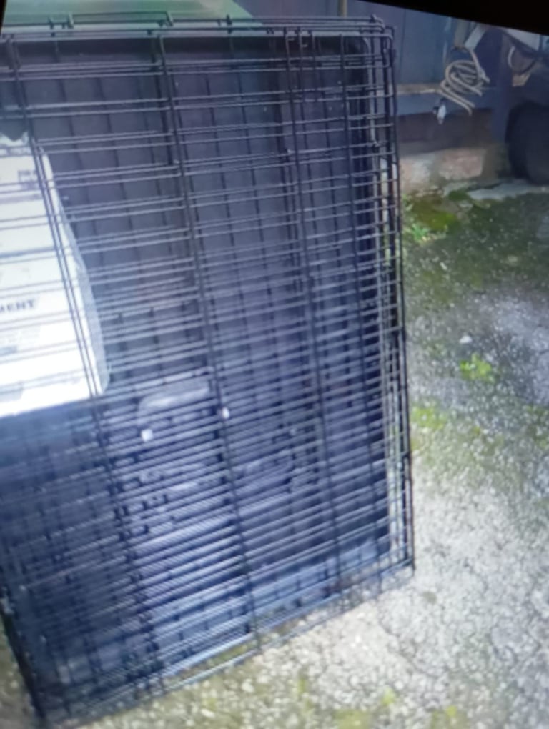 Large Dog Cage