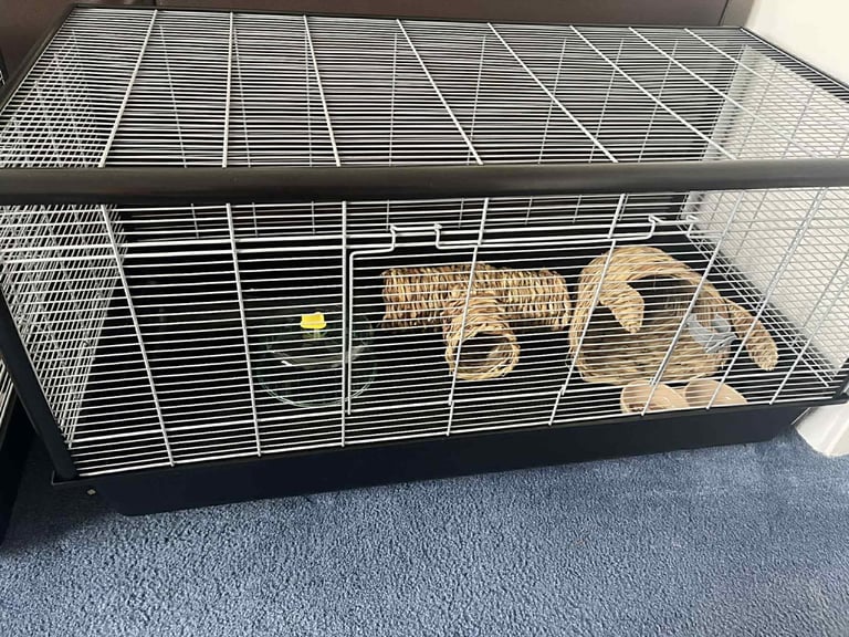 Month old big 100cm savic cage was 80 no offer 
