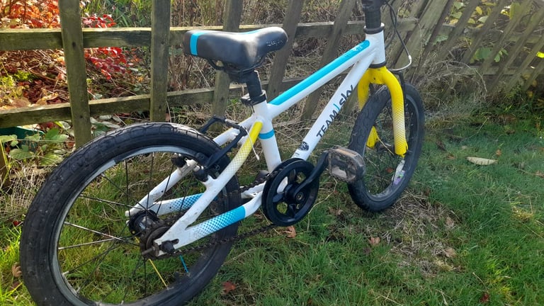 Frog 48 Team Sky ltd edition 16" wheels