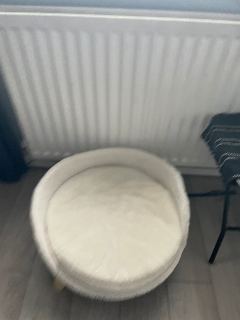 Cat sofa bed