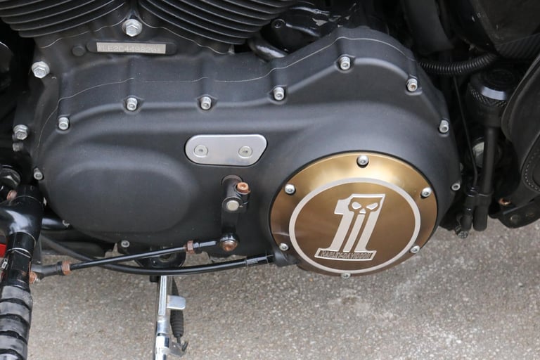 Harley-Davidson XL883N SPORTSTER IRON 2013