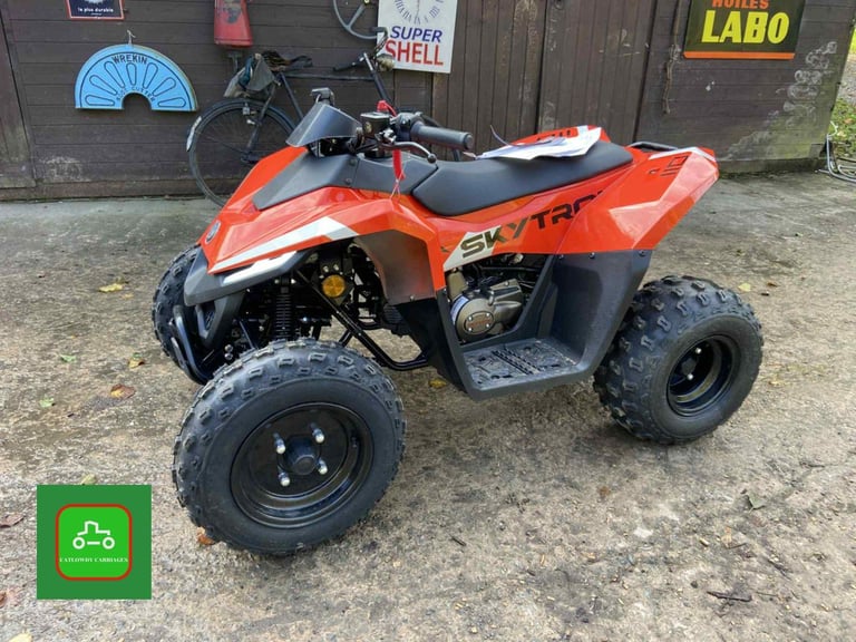 SKYTRON CUB 110 BRAND NEW 2025 4X2 FULL AUTO QUAD WITH SPEED RESTICTOR