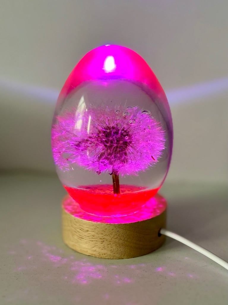 image for Handmade dandelion lights