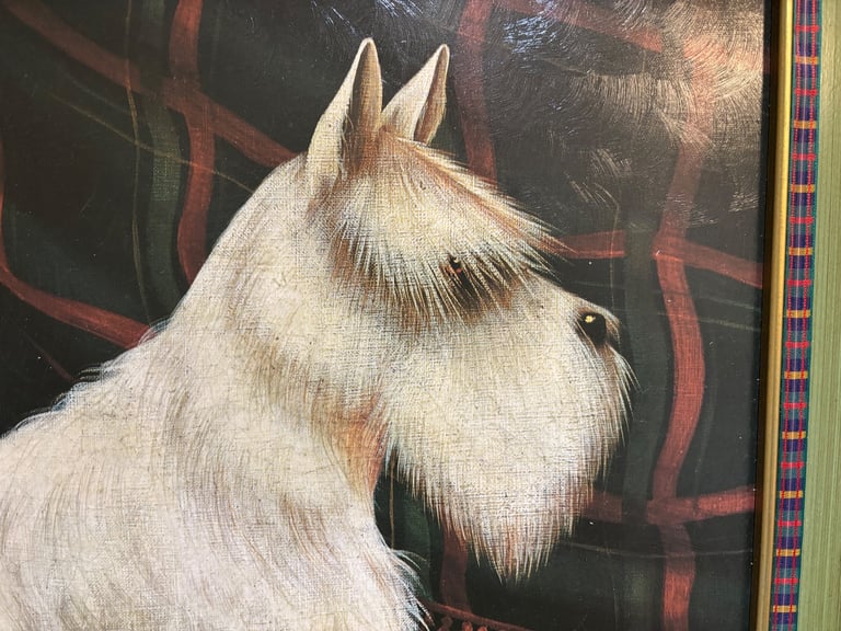 Framed Seated & Standing Scotty Dog Portraits by Paul Stagg.  Both Presented in Great Condition