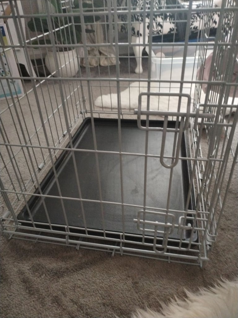 Dog crate 