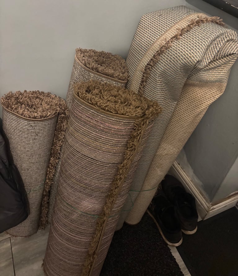 image for Free 4 shaggy rugs 