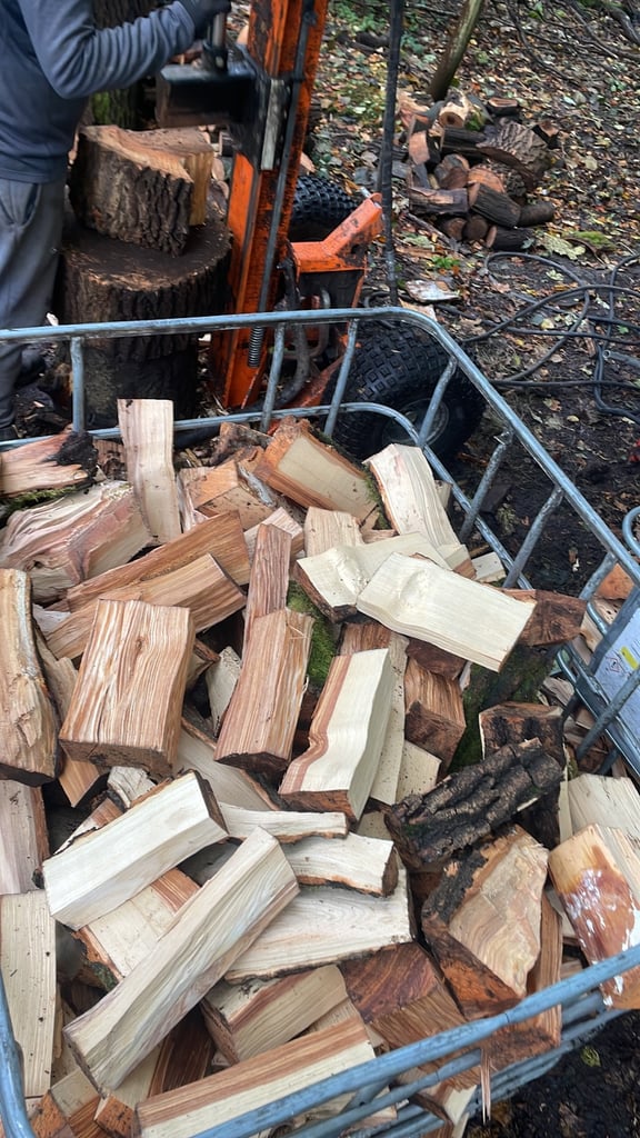 Hardwood seasoned firewood