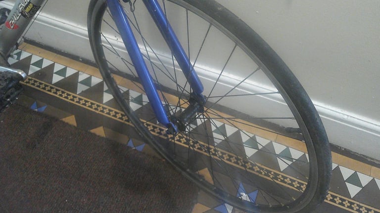 typhoon challenge raleigh bike for sale 