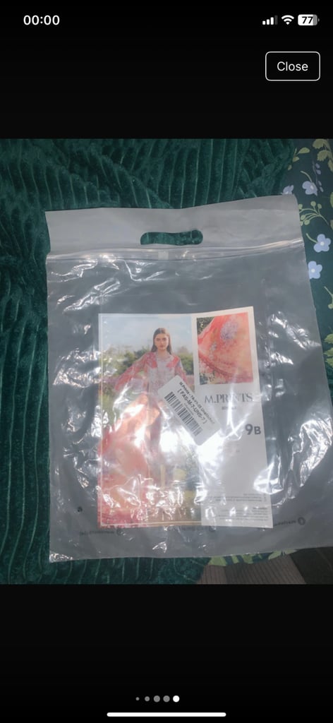 Asian Style Pakistani Celebatory Dress