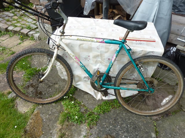 Apollo blizzard mountain bike cheap