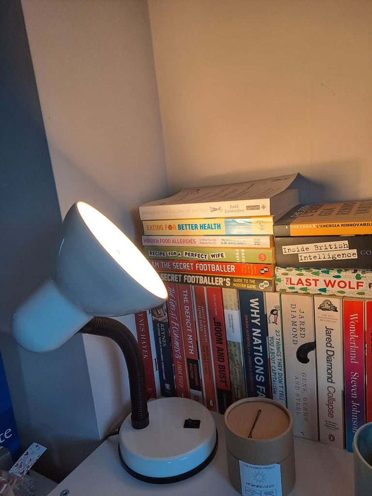 Bed or work space lamps