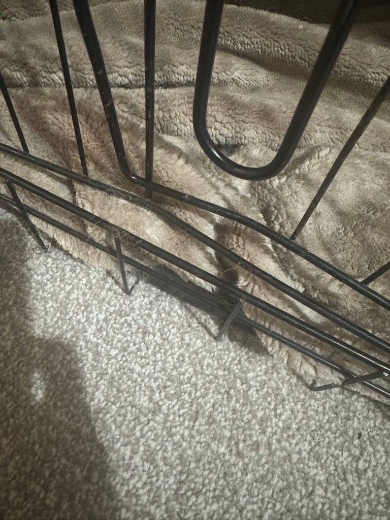 Large dog crate 