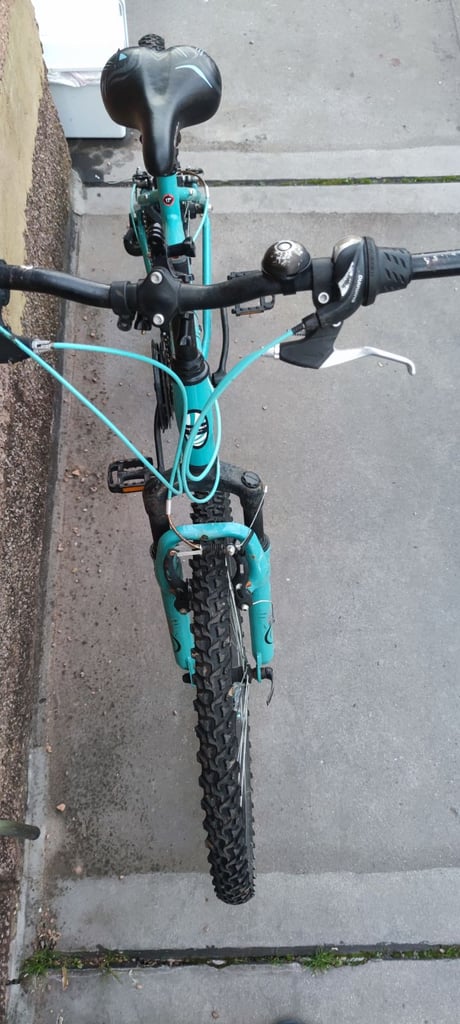Bicycle (adult bike)