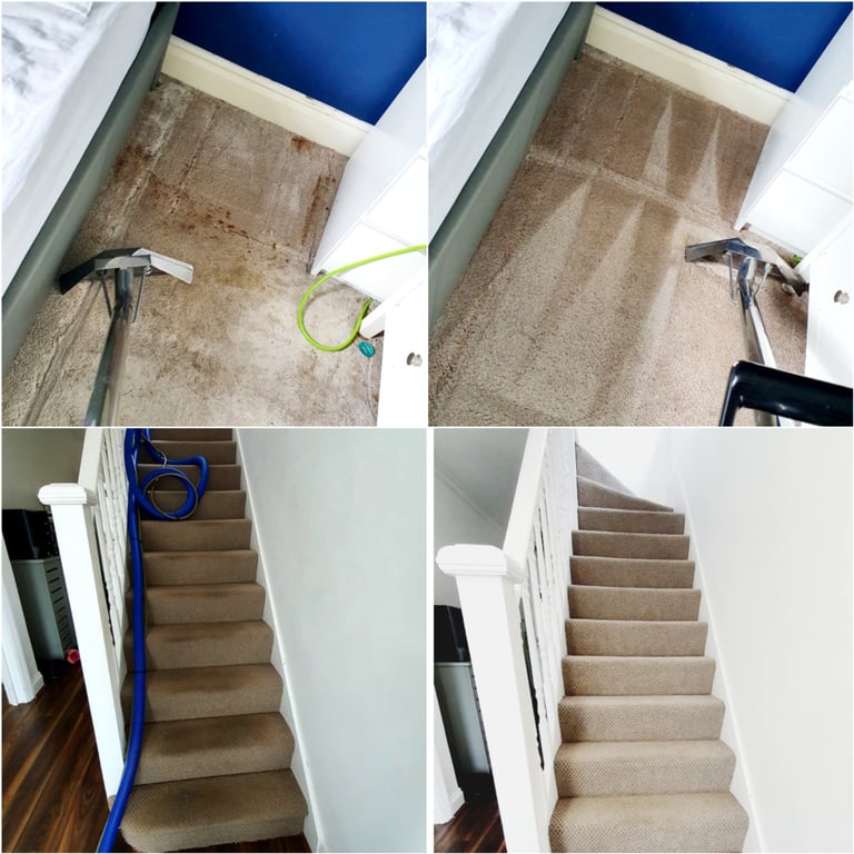 Carpet clean