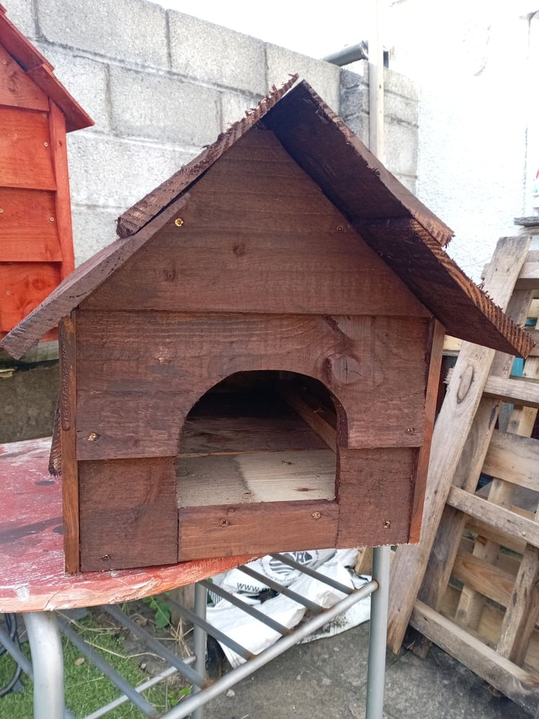 image for Hedgehog/cat or small dog 