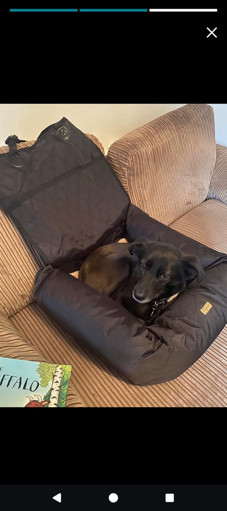 Dog car seat with safety attachment and bed 